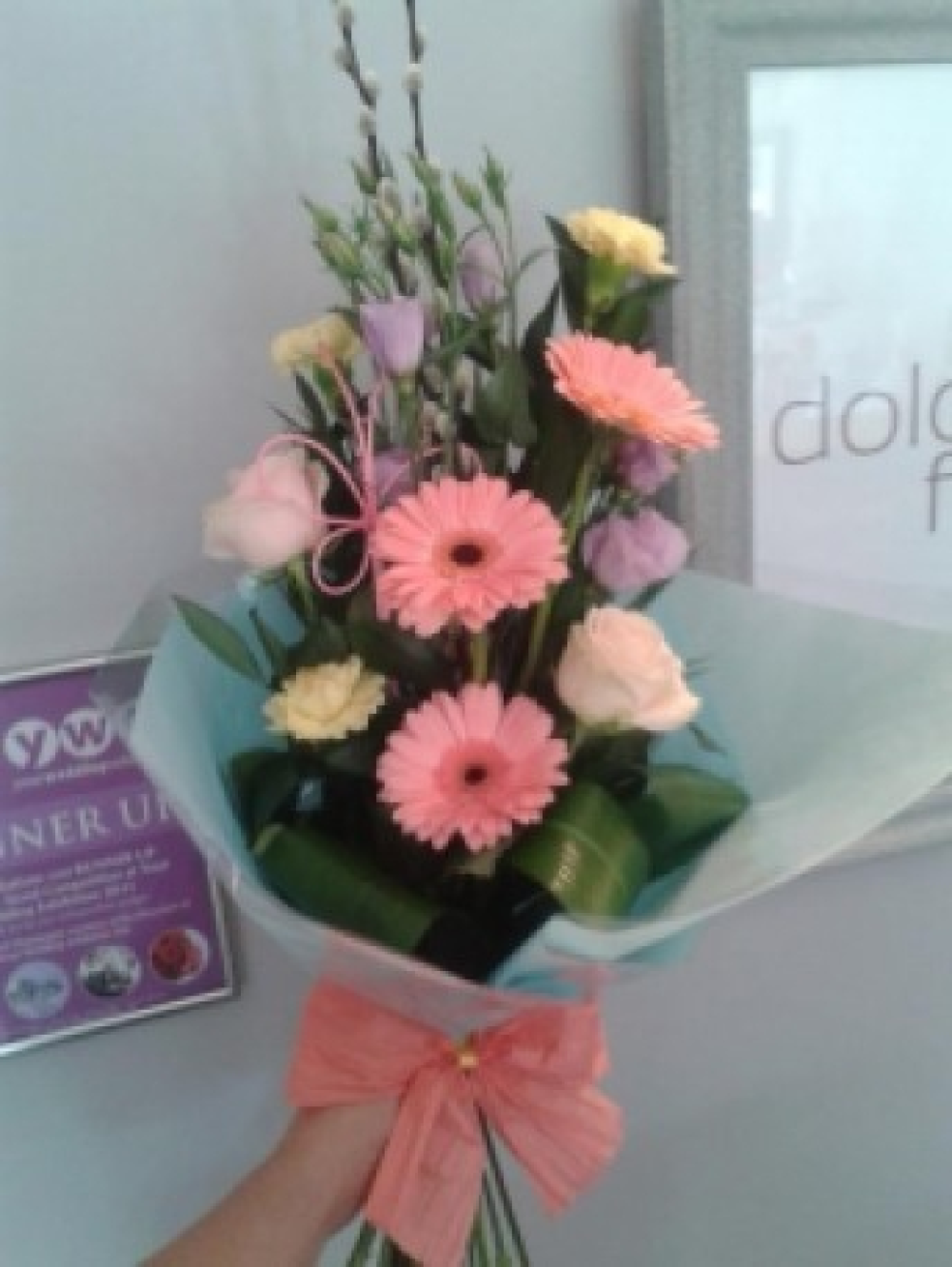 Pastel Front Facing Wrap Product Image