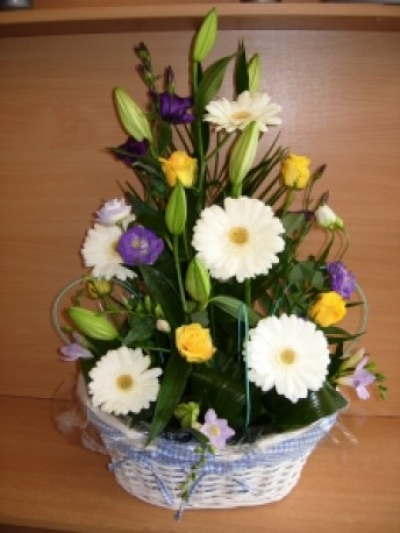 Baby Boy Arrangement - This is a beautiful gift to celebrate a new baby Boy. The basket is a lovely keepsake after the flowers have gone.
